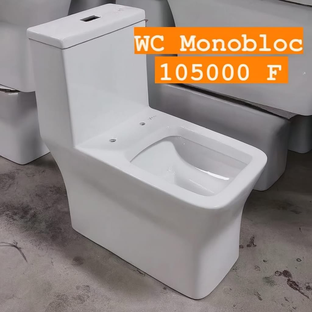 Wc monobloc